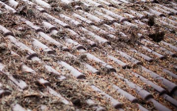 Tynemouth roof cleaning companies