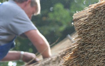 professional Tynemouth thatchers